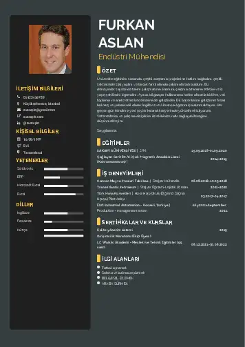 Endüstri Mühendisi CV Örnekleri cv indir